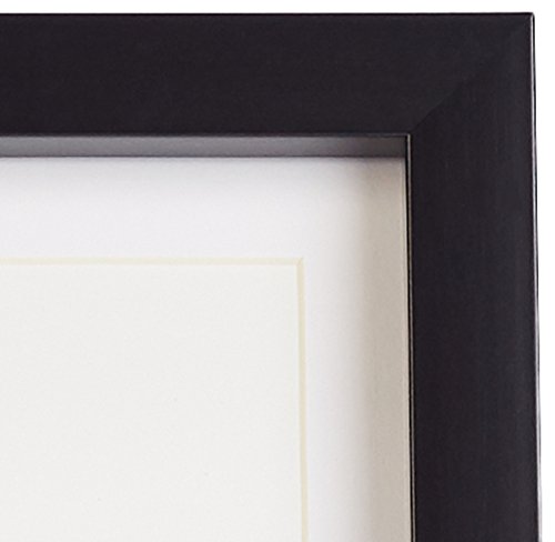 3 AmazonBasics+Photo+Frame+Mat+matted