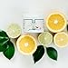 Best Nest Mama Body Butter | 100% Organic, Stretch Mark Belly Balm Cream, Intensive Moisturizer, Unscented, 4 Oz