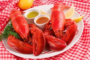 Lobster - Live Maine (4-1.5 Lb Lobsters): Amazon.com: Grocery & Gourmet