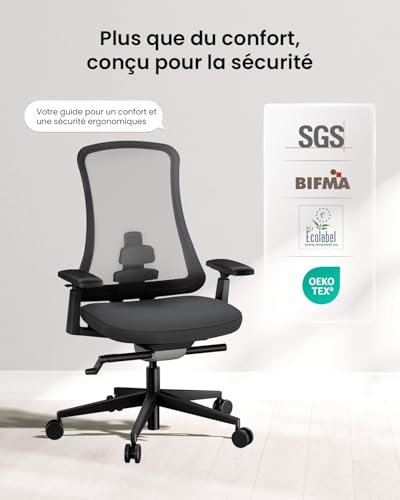 ProtoArc Ergonomic Office Chair High Back Mesh Office Chair Breathable Swivel Chair with Dual Adjustable Lumbar Support, 4D Armrests, Sliding Seat (Flexer Pro - Black)