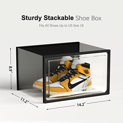 SEE SPRING Shoe Storage Boxes Clear Stackable Sneaker Display Boxes