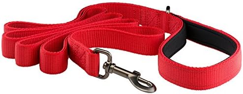 Premium Dog Leash - Heavy Duty Strap, Padded Handle, Ambient Colors - 6 Feet Long, 1 Inch Wide