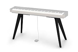 CASIO Stand for Casio CS-90P PXS6000