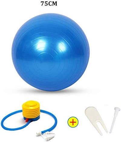 OWEM Deportes Bolas de Yoga Bola Pilates Fitness Ball Gimnasio ...