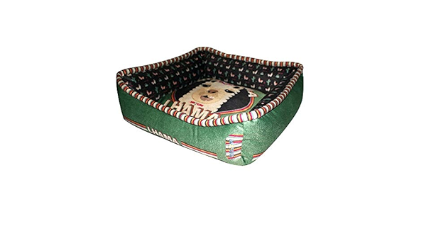 cat ensacark carrier