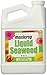 Maxicrop Liquid Seaweed (Kelp Extract, 32 Oz primary