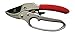 Ratchet Pruning Shears - Sharp Garden Hand Pruners - Easy Ratcheting Action - Best Anvil Gardening Secateurs for Small to Medium Jobs - Simple to Lock or Unlock - 100%