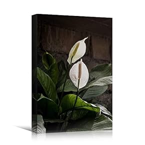 signwin Canvas Wall Art White Fields Bohemian Colorful...