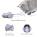 DADYPET Interactive Robotic Cat Toy, Mouse Shape Automatic Irregular Moving USB Rechargeable Electronic Toy with 5 Replacement Feathers for Kitten, All Floors Available