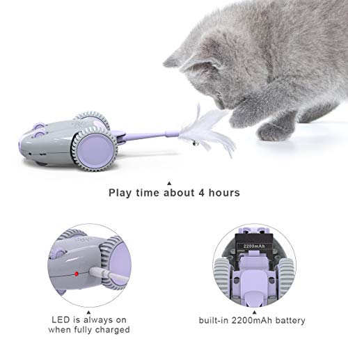 DADYPET-Katzenspielzeug-Roboter-Maus-Mausspielzeug-automatische-Bewegung-durch-den-Raum-ber-USB-aufladbar-elektronisches-Spielzeug-mit-5-Ersatzfedern-fr-Ktzen-fr-alle-Bden-geeignet