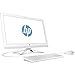 HP 23-inch All-in-One Computer, Intel Pentium J4205, 8GB RAM, 1TB Hard Drive, Windows 10 (24-g216, White)