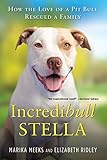 Incredibull Stella: How the Love of a Pit Bull Rescued a Family by