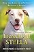 Incredibull Stella: How the Love of a Pit Bull Rescued a Family by