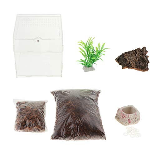 Baosity Ventilated Design - Reptiles Amphibians Habitat Terrarium Vivarium Tank Breeding Box - Bark