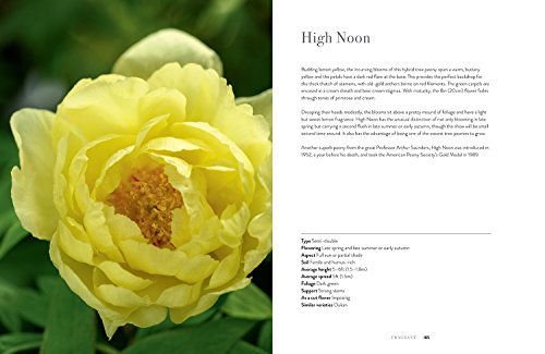 Peonies: Beautiful Varieties for Home & Garden (Flowers) - Thumbnail 5