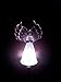 Angel Solar Light with Fiber Optic Wings (Set of 2) with Free LED Keychain Light