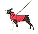 Gooby Fleece Vest Hoodie Dog Sweater - Red, Medium - Warm Pullover Dog Hoodie with O-Ring Leash for Small to Medium Dogs