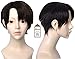 Free Hair Cap + Japanese Anime Attack on Titan Levi / Rivaille Short Cosplay Wig