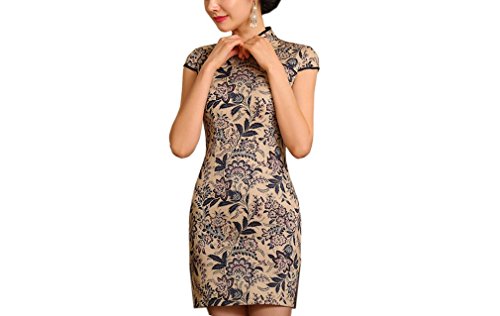XueXian(TM) Women's Summer Stand Collar Silk Stain Chinese Cheongsam Qipao Short Dress