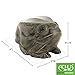 Achla Designs Frog, Garden Animal Statue