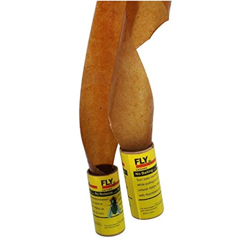 5 EatingBiting%25EF%25BC%2588R%25EF%25BC%25894+Catcher+closets+basements+garages