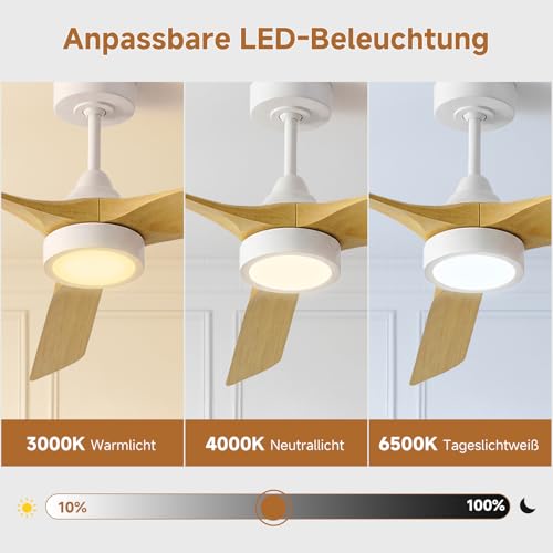 Ateroll 132 cm Ceiling Fan with Lighting and Remote Control, Ultra Quiet DC Motor, 3 Blades, 6 Speeds, 1/4/8H Timer, Dimmable LED, Summer Winter Operation for Living Room, Bedroom