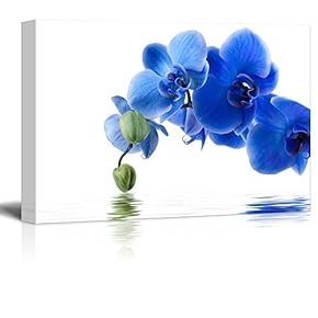Blue Orchid Blooms Dipping into Water - Canvas Art Home Art - 12x18 inches