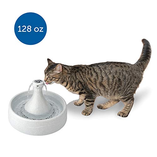 petsafe dog water fountain