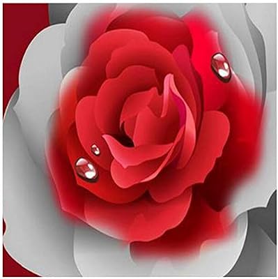 57 Koleksi Wallpaper Red Rose Romantic Gratis Terbaru