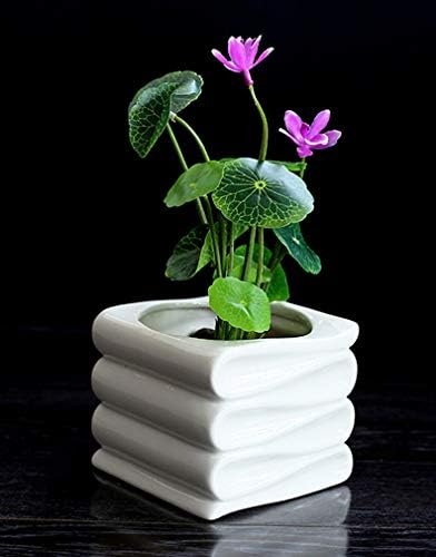 Modern Planter Ceramic Book Planter Pot/Bonsai Pot/Flower Pot/Succulent Planter(White)