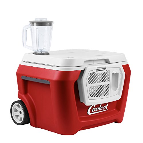 Best Coolers You Can Buy Fatherly