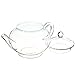 KINGSO Heat Resistant Elegant Glass Teapot with Glass Filter 250ml / 8oz