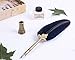 Lingery Quill Pen Set with Stand and 5pcs Stainless Steel Nibs in Different Size,Feather Dip Pen Gift Set