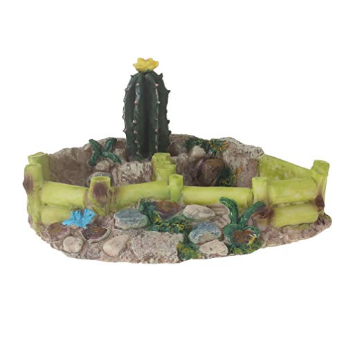 Emours Reptile Amphibian Tortoise Lizard Frog Water Dish Food Feeder Cactus Corner Bowl with Ramp Large