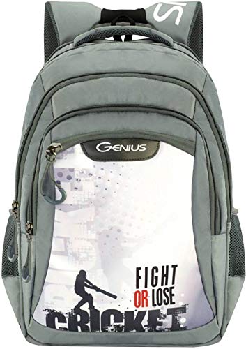 Genius 38 Ltrs Grey Casual Backpack (Champion)