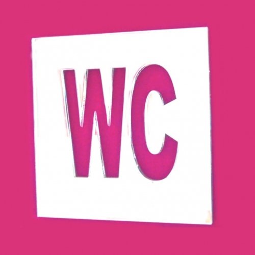 Super Cool Creations WC Sign Mirrors – Square - 45cm x 45cm
