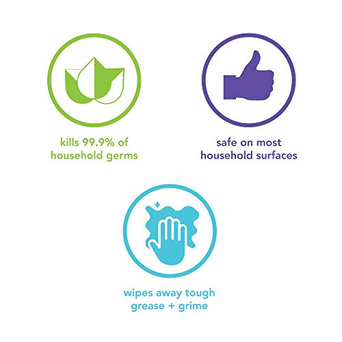 Method Antibacterial All Purpose Cleaner Spray, Wildflower, Kills 99.9