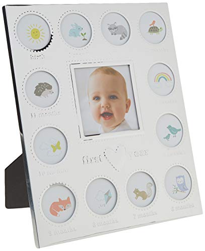 Carter's Baby's First Year Animal Theme Silver Metal Month by Month Picture Frame, 9.75