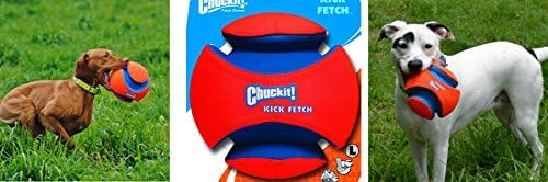 chuckit kick fetch