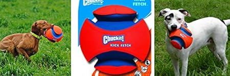 chuckit kick fetch toy ball large