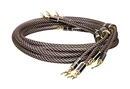 Toller Preis! Dieses Angebot für Dynavox Black Line... liegt heute bei 259,91€. Heute noch zuschlagen!