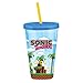 Vandor Sonic the Hedgehog 18 Ounce Acrylic Travel Cup, Multicolored