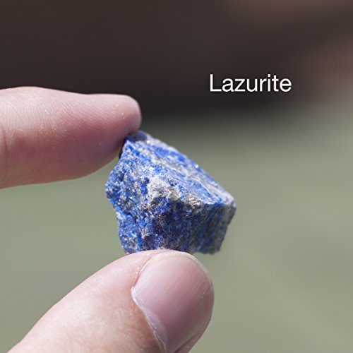 Chillipepperstone 12 Natural Mineral Untumbled Rock Science Stone Collection - Non-Metalic Sample Set