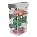 IRIS USA 3-Piece Buckle Snaps Layered Latch Box, Mini, Clear/Silver