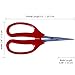 Zhang Xiao Quan 6 inch Garden Bonsai Pruning Shears Curved Blade with PTFE Coated for Cutting & Trimming Flowers Furits Vegetables