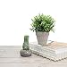 Velener Artificial Grass Faux Plants Indoor - Square Topiary Small Fake Plant for Home Decor Indoor Window Sill Plant Shelf Desk Decorations for Women Office Cubicle Sage Green Bathroom Accessories