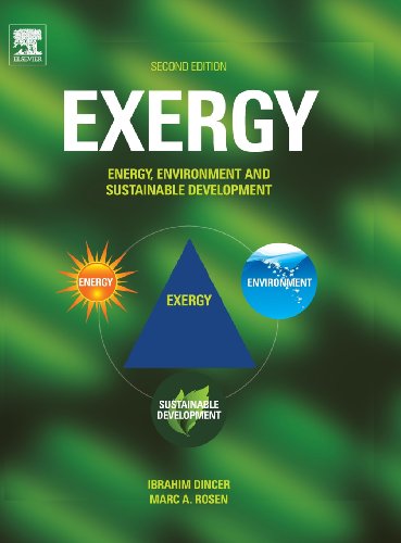 Exergy, Second Edition: Energy, Environment and Sustainable Development