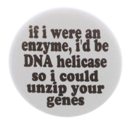an enzyme DNA helicase I could unzip your genes 1.25