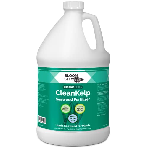 Kelp4Less Organic Kelp Seaweed Powder - Water Soluble Fertilizer - 10 LBS Bulk Bag