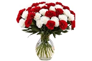 KaBloom Flowers - 12 Red And White Carnation With Vase. Gift for Birthday, Anniversary, Get Well, Thank You, Valentine, Mother’s Day Fresh Flowers
